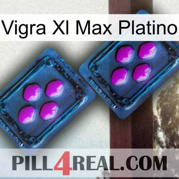 Vigra Xl Max Platinum 03.jpg